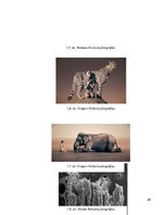 Referāts 'Mākslas fotogrāfijas virziens naratīvajā mākslā 21.gadsimtā', 26.