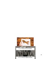 Referāts 'Mākslas fotogrāfijas virziens naratīvajā mākslā 21.gadsimtā', 28.