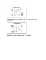 Konspekts 'Latvijas radio tirgus', 8.