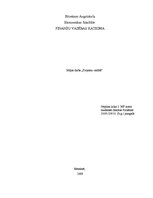 Biznesa plāns 'Pirts būvniecība', 1.