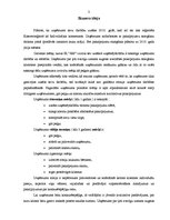 Biznesa plāns 'Pirts būvniecība', 3.