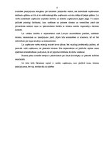 Biznesa plāns 'Pirts būvniecība', 4.