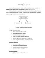 Biznesa plāns 'Pirts būvniecība', 5.