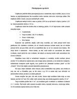 Biznesa plāns 'Pirts būvniecība', 8.