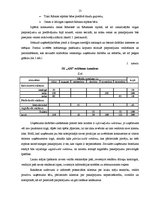 Biznesa plāns 'Pirts būvniecība', 13.