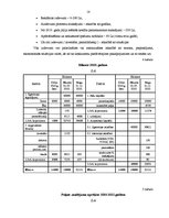 Biznesa plāns 'Pirts būvniecība', 18.