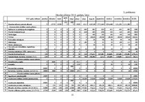 Biznesa plāns 'Pirts būvniecība', 25.