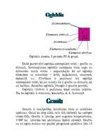 Referāts 'Ogleklis', 2.