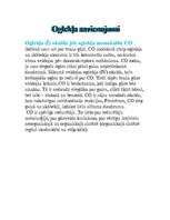 Referāts 'Ogleklis', 5.