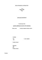 Paraugs 'Apskates plānošana, lai novērstu GK sabrukšanu', 1.