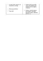 Konspekts 'Reklāmas definīcija', 6.