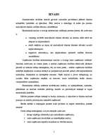 Prakses atskaite 'Mācību prakses atskaite finanšu analīzē', 2.