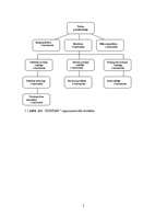 Prakses atskaite 'Mācību prakses atskaite finanšu analīzē', 5.