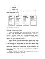 Prakses atskaite 'Mācību prakses atskaite finanšu analīzē', 13.