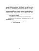 Prakses atskaite 'Mācību prakses atskaite finanšu analīzē', 23.