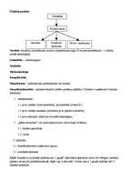 Konspekts 'Projektu vadība', 2.