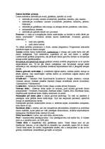 Konspekts 'Datora darbības principi un galvenās sastāvdaļas', 1.