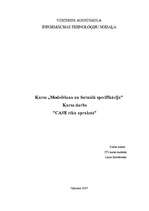 Referāts 'CASE rīku apraksts', 1.