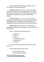 Referāts 'CASE rīku apraksts', 7.