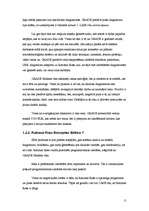 Referāts 'CASE rīku apraksts', 11.