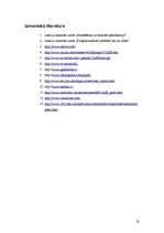 Referāts 'CASE rīku apraksts', 22.