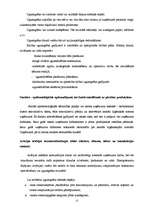 Referāts 'Civilā aizsardzība uzņēmumā', 12.