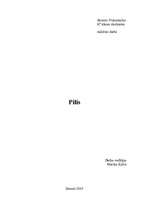 Referāts 'Pilis', 1.