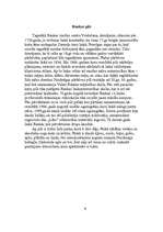 Referāts 'Pilis', 6.