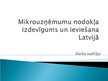 Referāts 'Mikrouzņēmuma nodokļa izdevīgums un ieviešana Latvijā', 29.
