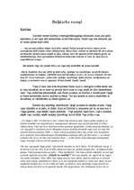 Referāts 'Dace Rukšāne "Kāpēc tu raudāji?"', 9.