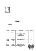 Konspekts 'Biroja plāns', 12.