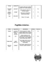 Konspekts 'Biroja plāns', 14.