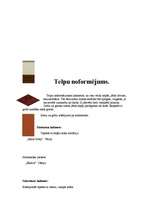 Konspekts 'Biroja plāns', 15.