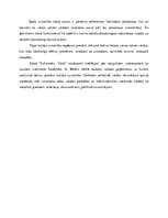 Eseja 'Dažādas valodas parādības un mākslinieciskās izteiksmes līdzekļi  G. Bereļa stās', 4.