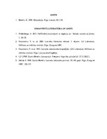 Eseja 'Dažādas valodas parādības un mākslinieciskās izteiksmes līdzekļi  G. Bereļa stās', 5.