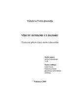 Referāts 'Vīrusu ietekme uz datoru', 1.