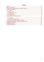 Referāts 'Vīrusu ietekme uz datoru', 2.