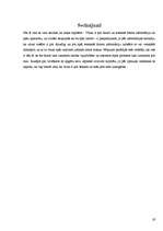 Referāts 'Vīrusu ietekme uz datoru', 19.