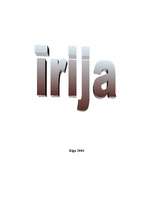 Referāts 'Īrija', 1.