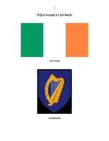 Referāts 'Īrija', 5.