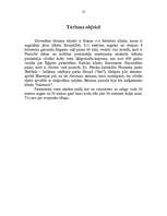 Referāts 'Īrija', 13.