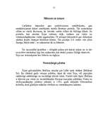 Referāts 'Īrija', 15.