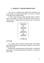 Prezentācija 'Biosistēmu modelēšanas pamati', 12.