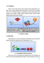 Prezentācija 'Biosistēmu modelēšanas pamati', 16.