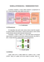 Prezentācija 'Biosistēmu modelēšanas pamati', 20.