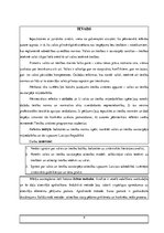 Referāts 'Valsts un tiesību savstarpējā mijiedarbība', 4.