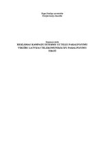 Diplomdarbs 'Reklāmas kampaņu ietekme uz "Tele2" pakalpojumu virzību tirgū', 1.