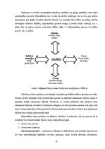 Diplomdarbs 'Vecākā pirmsskolas vecumposma bērnu saskarsmes prasmju sekmēšana sporta nodarbīb', 18.
