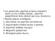 Prezentācija 'Grāmatas "Cik pilns ir jūsu spainītis" galvenās atziņas', 13.