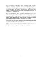 Referāts 'Matemātika', 13.